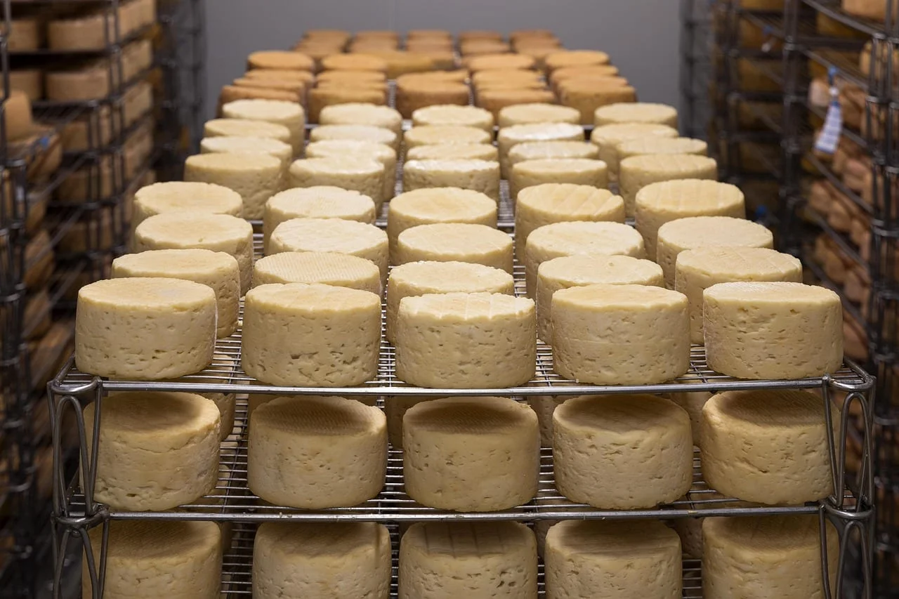 Furano Cheese Factory artisan cheese