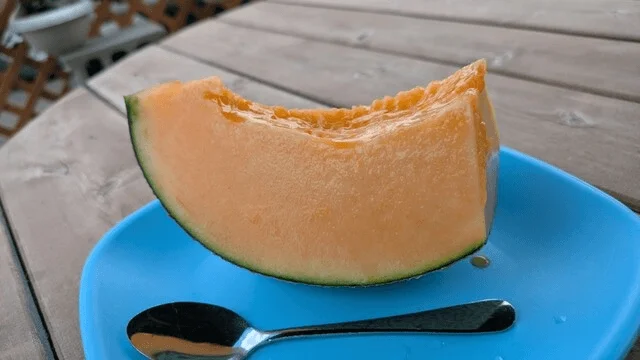 Shimada Farm Furano roadside melon stand
