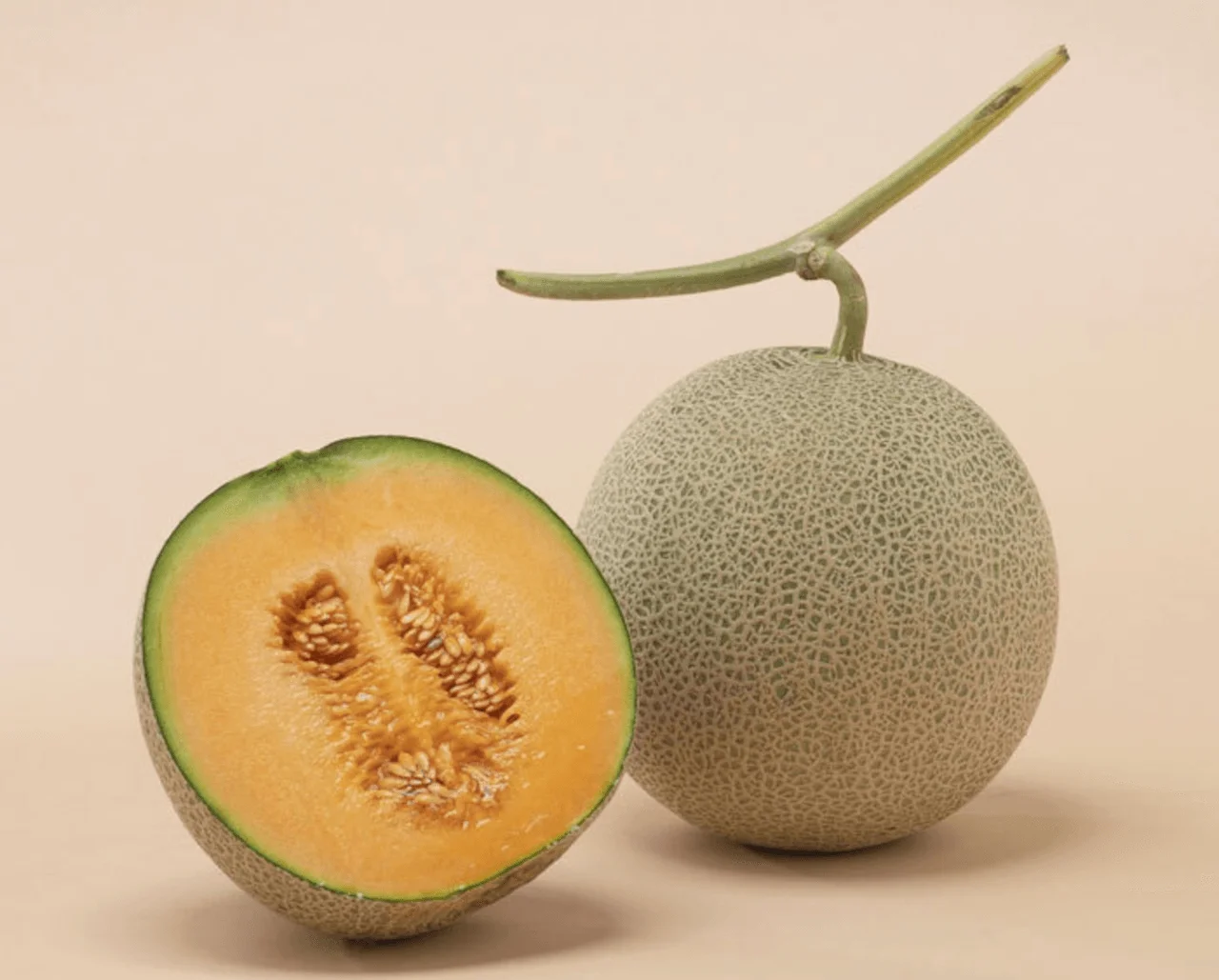 Nakata Farm all-you-can-eat melon experience